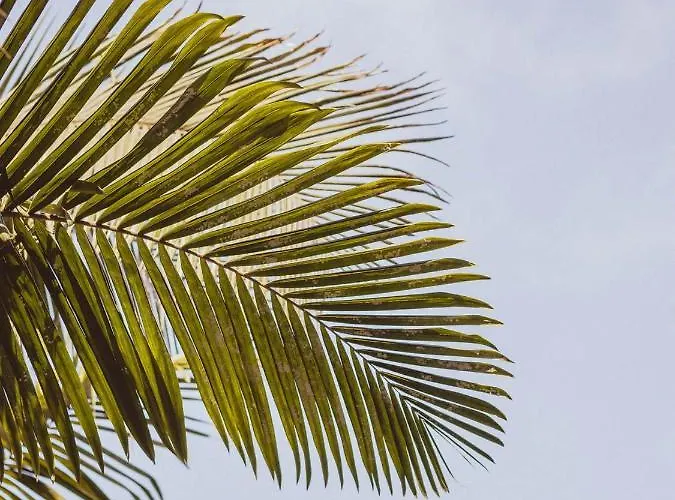 Вилла The Circular - Jacuzzi, Hiking & Vineyards