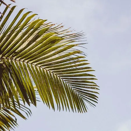 别墅 The Circular - Jacuzzi, Hiking & Vineyards