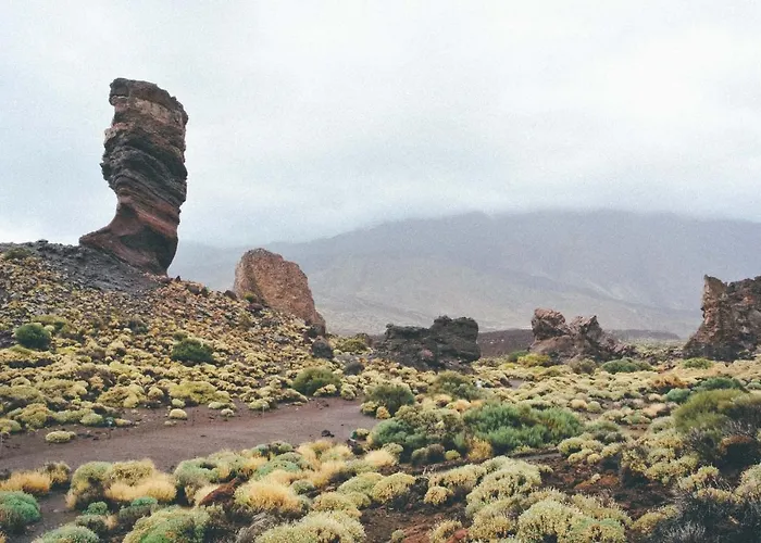 The Circular - Jacuzzi, Hiking & Vineyards Villa La Matanza De Acentejo